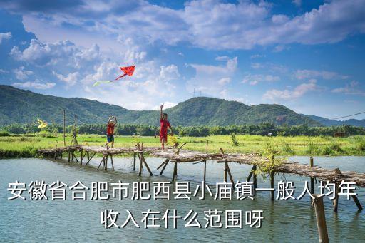 安徽省合肥市肥西縣小廟鎮(zhèn)一般人均年收入在什么范圍呀