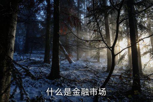 什么是金融市場