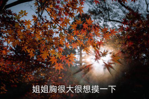 姐姐胸很大很想摸一下