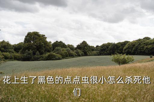 花上生了黑色的點點蟲很小怎么殺死他們