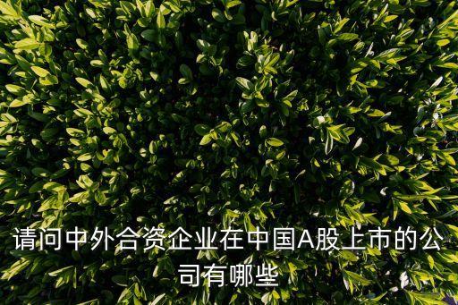 中資企業(yè)，請(qǐng)問(wèn)中外合資企業(yè)在中國(guó)A股上市的公司有哪些