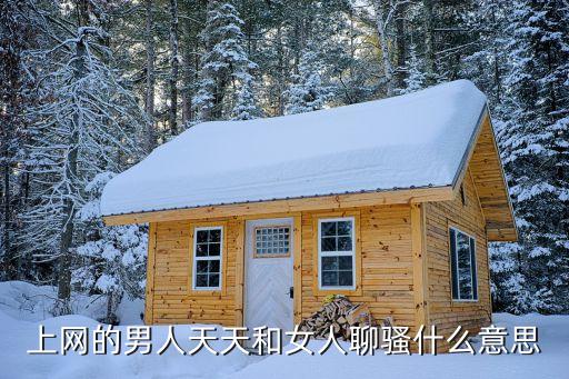 網(wǎng)上聊騷，上網(wǎng)的男人天天和女人聊騷什么意思