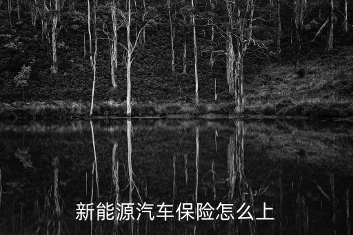 新能源汽車保險怎么上