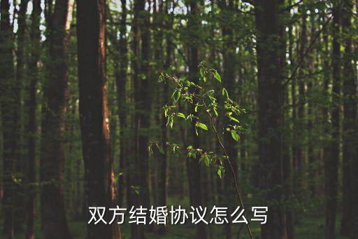 婚書(shū)范本，這種婚書(shū)怎么寫(xiě)