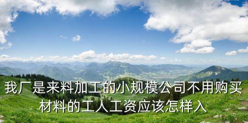 我廠是來料加工的小規(guī)模公司不用購買材料的工人工資應(yīng)該怎樣入