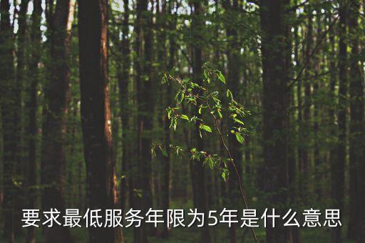 要求最低服務(wù)年限為5年是什么意思