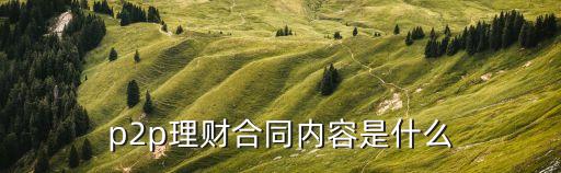 p2p協(xié)議，什么是P2P