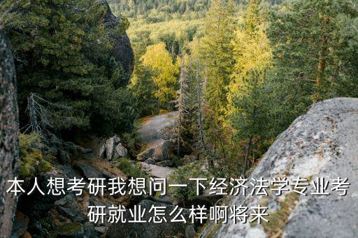 本人想考研我想問一下經(jīng)濟法學(xué)專業(yè)考研就業(yè)怎么樣啊將來