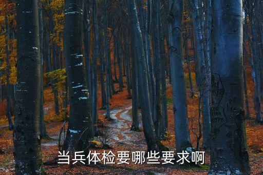 當兵體檢要哪些要求啊