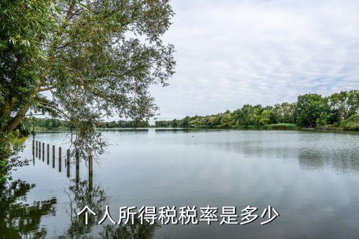 個稅稅率表最新，個人所得稅綜合所得稅率是多少
