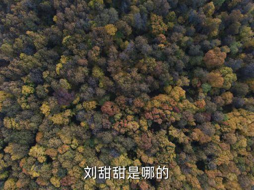 劉甜甜，劉甜甜這三個字一共多少筆畫