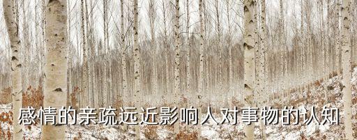 感情的親疏遠近影響人對事物的認(rèn)知