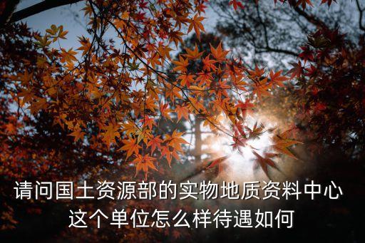 實物資料，下列屬于實物資料的是