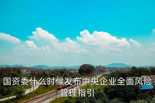 中央企業(yè)全面風險管理指引，簡述央企全面風險管理指南的總體內容