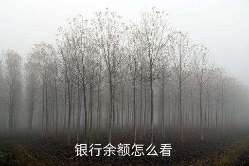 如何查看銀行卡余額，怎樣查銀行卡余額