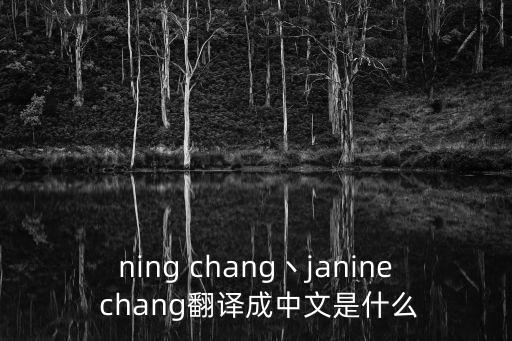 寧昌，北九鎮(zhèn)寧昌路哪有好點的溜冰場