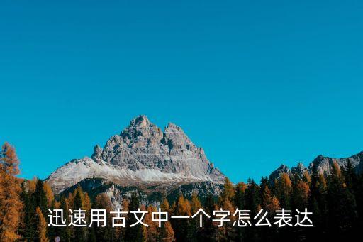 迅速怎么寫，迅速用古文中一個字怎么表達