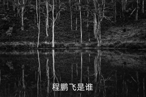 程鵬飛，程鵬啥有哪些名字