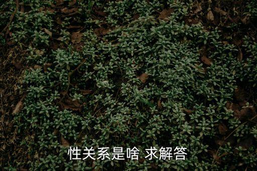性關(guān)系是什么意思，性關(guān)系是什么意思