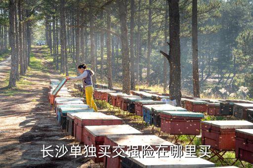 長沙單獨(dú)買交強(qiáng)險在哪里買