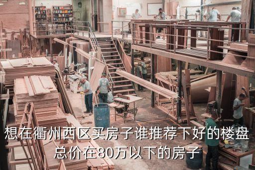想在衢州西區(qū)買(mǎi)房子誰(shuí)推薦下好的樓盤(pán)總價(jià)在80萬(wàn)以下的房子