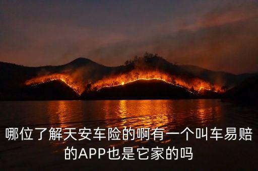 哪位了解天安車險的啊有一個叫車易賠的APP也是它家的嗎