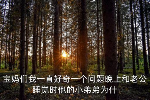 寶媽們我一直好奇一個問題晚上和老公睡覺時他的小弟弟為什