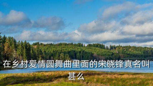 宋曉鋒，這演員叫什么名字哪位大神知道