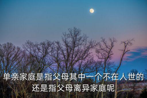 單親家庭是指父母其中一個不在人世的還是指父母離異家庭呢