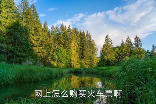 網(wǎng)上購買火車票，怎么在網(wǎng)上買火車票