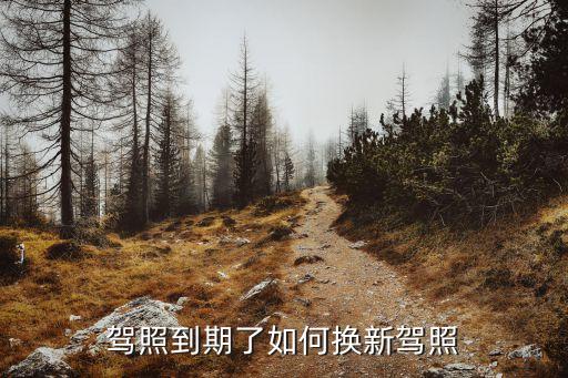 怎么更換駕駛證，如何換領(lǐng)新駕駛證