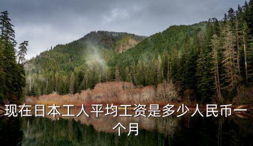 日本人均工資，日本平均工資多少