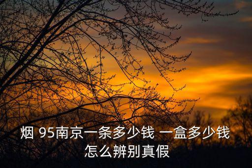 95多少錢，95現在還要多少錢