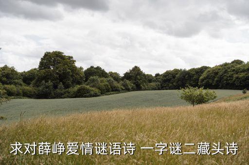 求對(duì)薛崢愛(ài)情謎語(yǔ)詩(shī) 一字謎二藏頭詩(shī)