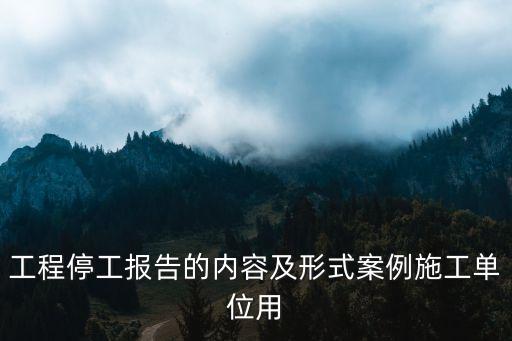 工程停工報告的內(nèi)容及形式案例施工單位用