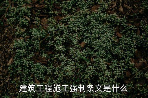 建筑工程施工強制條文是什么