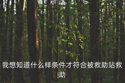 我想知道什么樣條件才符合被救助站救助