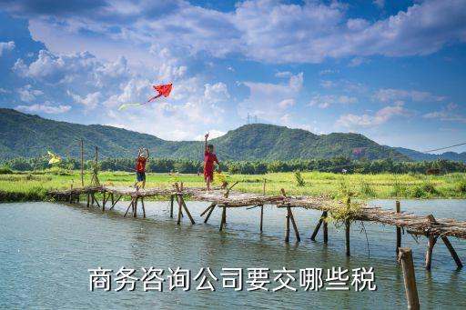 商務(wù)咨詢，請(qǐng)問商務(wù)顧問的工作職責(zé)是什么