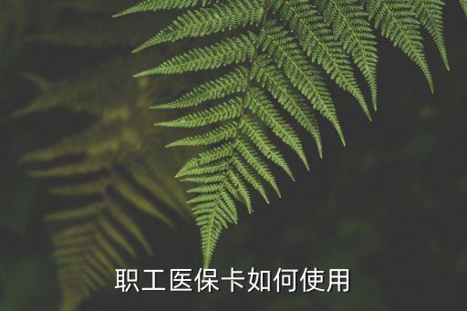 職工醫(yī)保卡如何使用