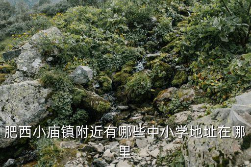 肥西小廟鎮(zhèn)附近有哪些中小學(xué)地址在哪里