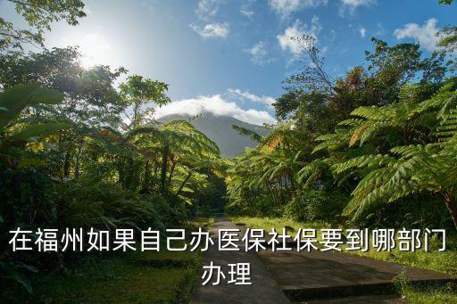 在福州如果自己辦醫(yī)保社保要到哪部門辦理