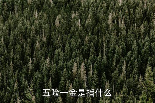 五險一金是指什么