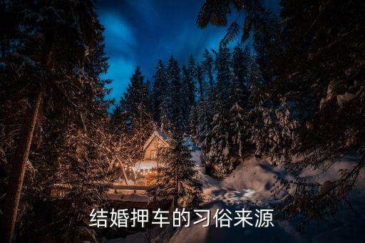 押車，什么叫押車