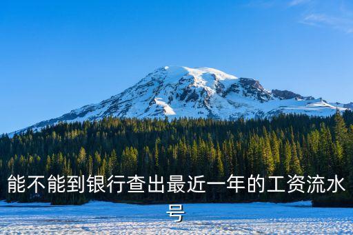 能不能到銀行查出最近一年的工資流水號