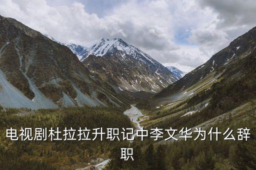 電視劇杜拉拉升職記中李文華為什么辭職