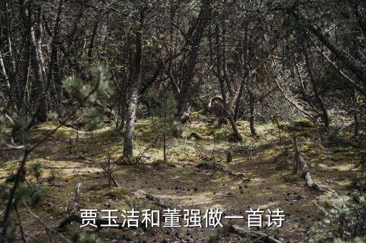 董強(qiáng)，董強(qiáng)和小博誰是一夜九次郎