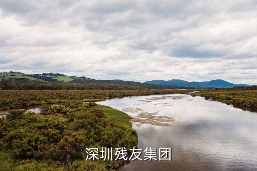 殘友集團(tuán)，深圳殘友集團(tuán)