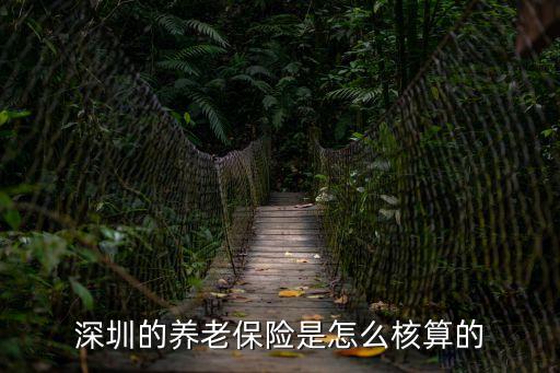 深圳養(yǎng)老保險(xiǎn)，深圳的養(yǎng)老保險(xiǎn)是怎么核算的