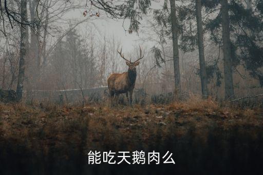 天鵝能吃嗎，能吃天鵝肉么