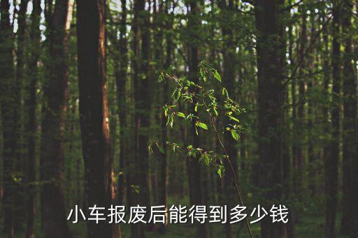 小車報(bào)廢后能得到多少錢